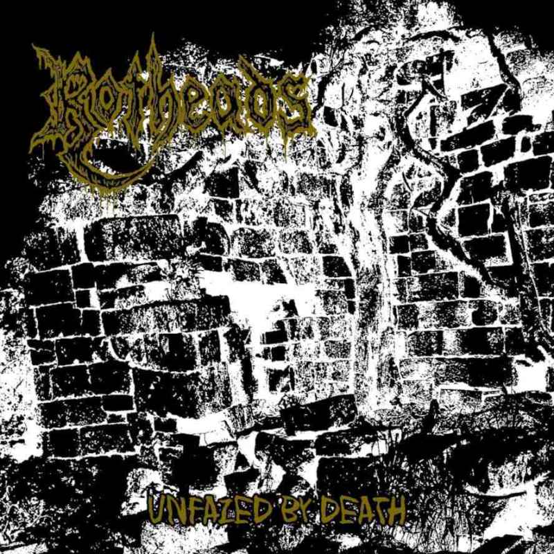 ROTHEADS - Unfazed by Death Re-Release CD